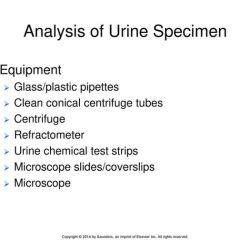 Sedi stain urinalysis ppt powerpoint presentation easily cellular stains components seen they so