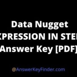 Data nugget answer key pdf