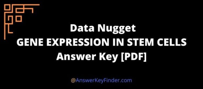 Data nugget answer key pdf