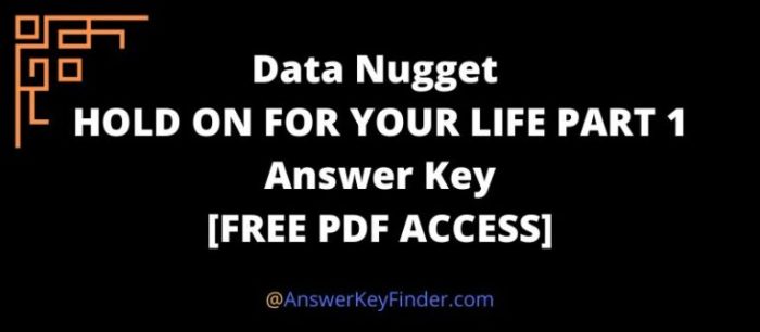 Data nugget answer key pdf