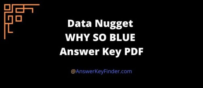 Data nugget answer key pdf