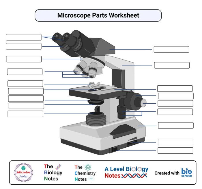 Microscope fill in the blank answers