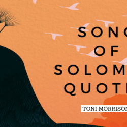 Quotes from song of solomon toni morrison