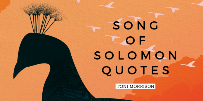 Quotes from song of solomon toni morrison