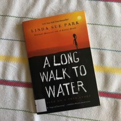 A long walk to water spanish