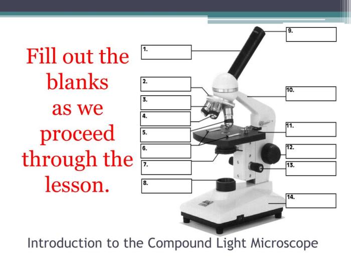 Microscope answers