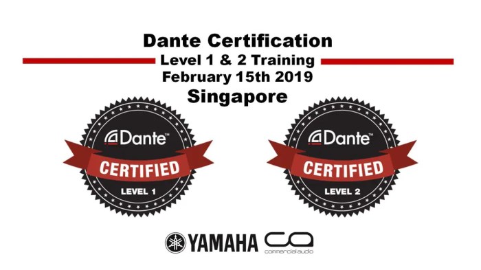 Dante certification level 1 answers