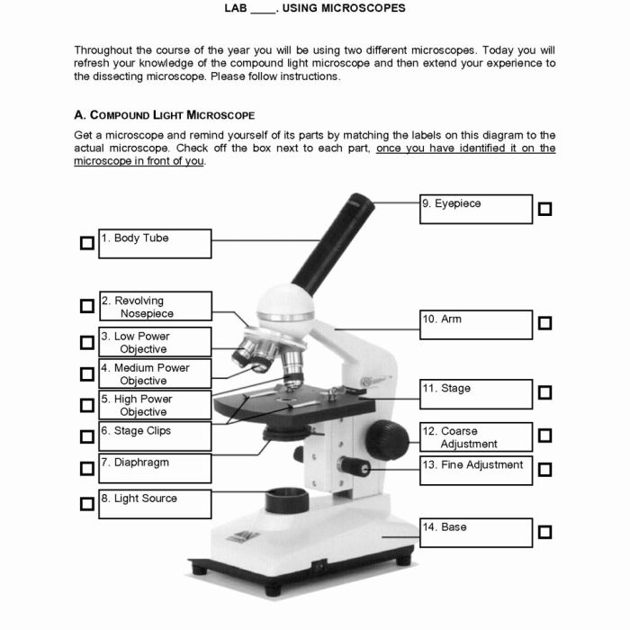 Microscope fill in the blank answers