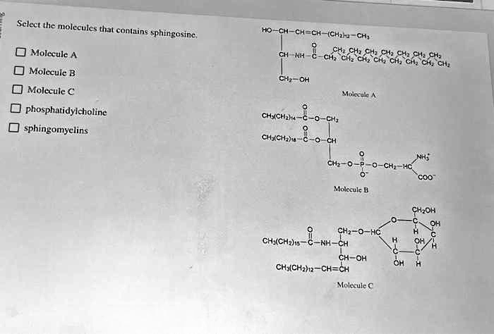 Select the molecules that contains sphingosine