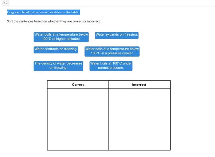 Sort the models into the correct category