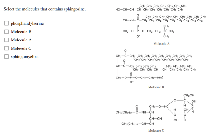 Molecules following contain sphingosine which apply select backbone transcribed text show