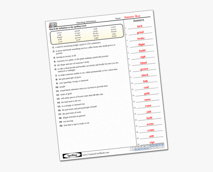 Identifying primary and secondary sources worksheet answer key