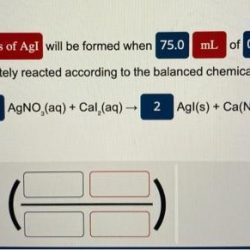 No3 zn ionic aq solved agnos oneclass