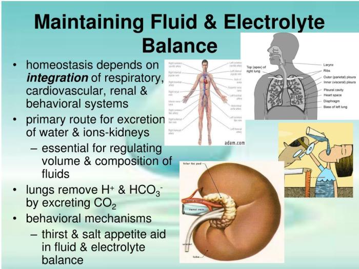 Fluid and electrolyte balance heart failure ati