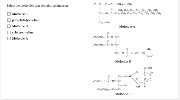 Select the molecules that contains sphingosine